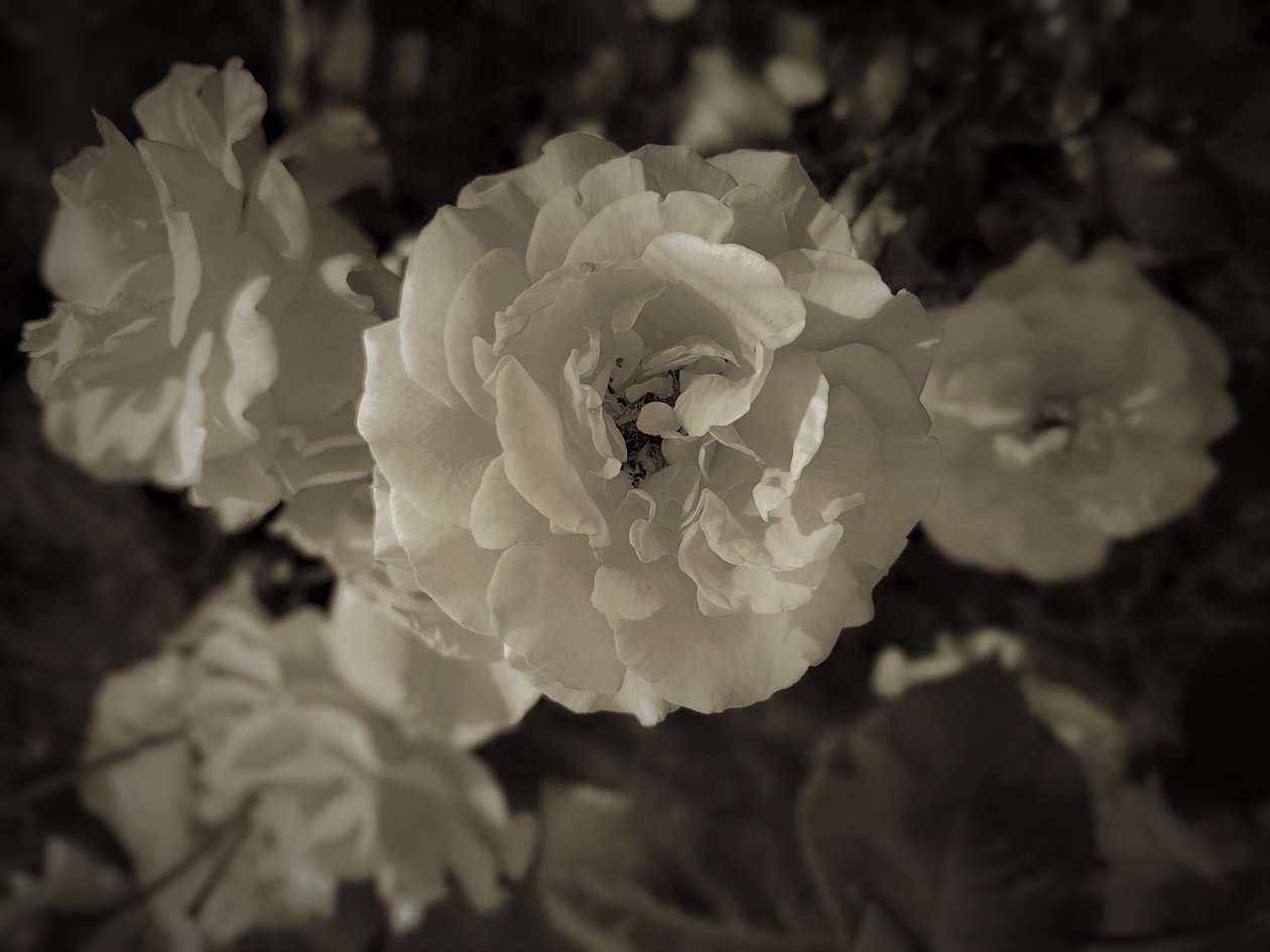 grup,2019,(fotoğraf) by Alex Caminker