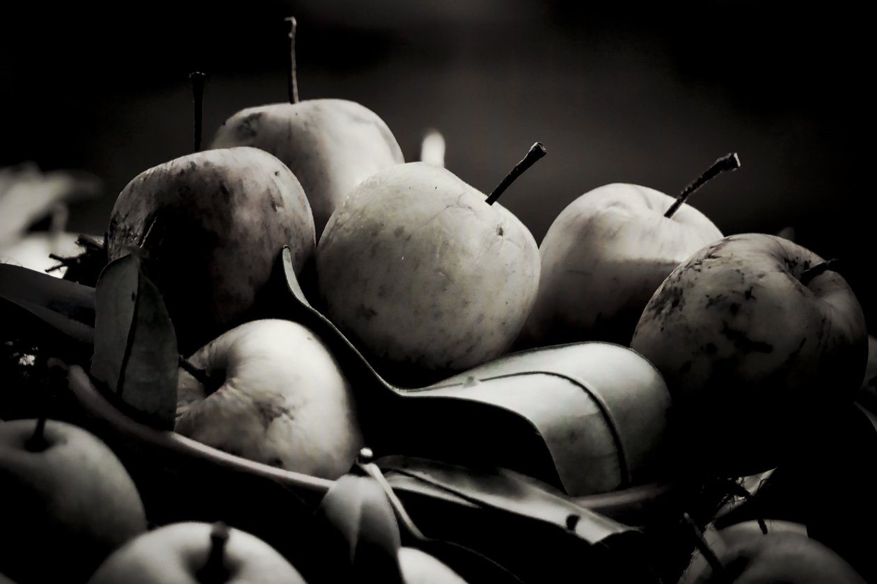 hasat,2019,(fotoğraf) by Alex Caminker