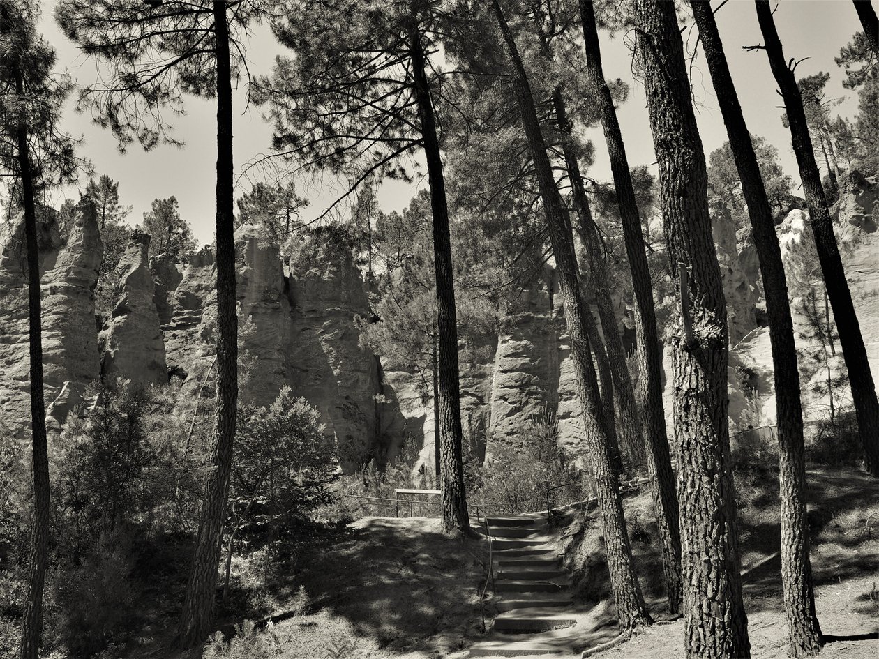 evrenin içinde,2019,(fotoğraf) by Alex Caminker