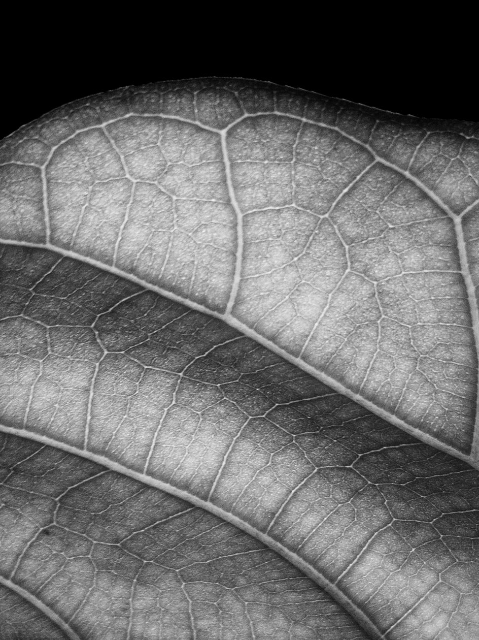 ayrılmak,2019,(fotoğraf) by Alex Caminker