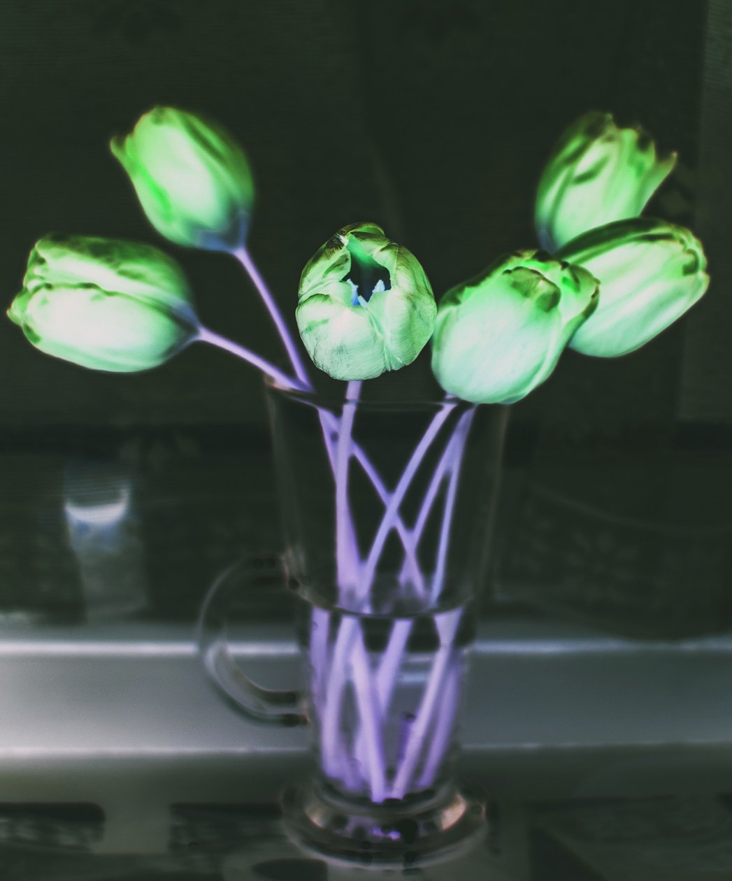 ışık kırılması,2019,(fotomanipülasyon) by Alex Caminker