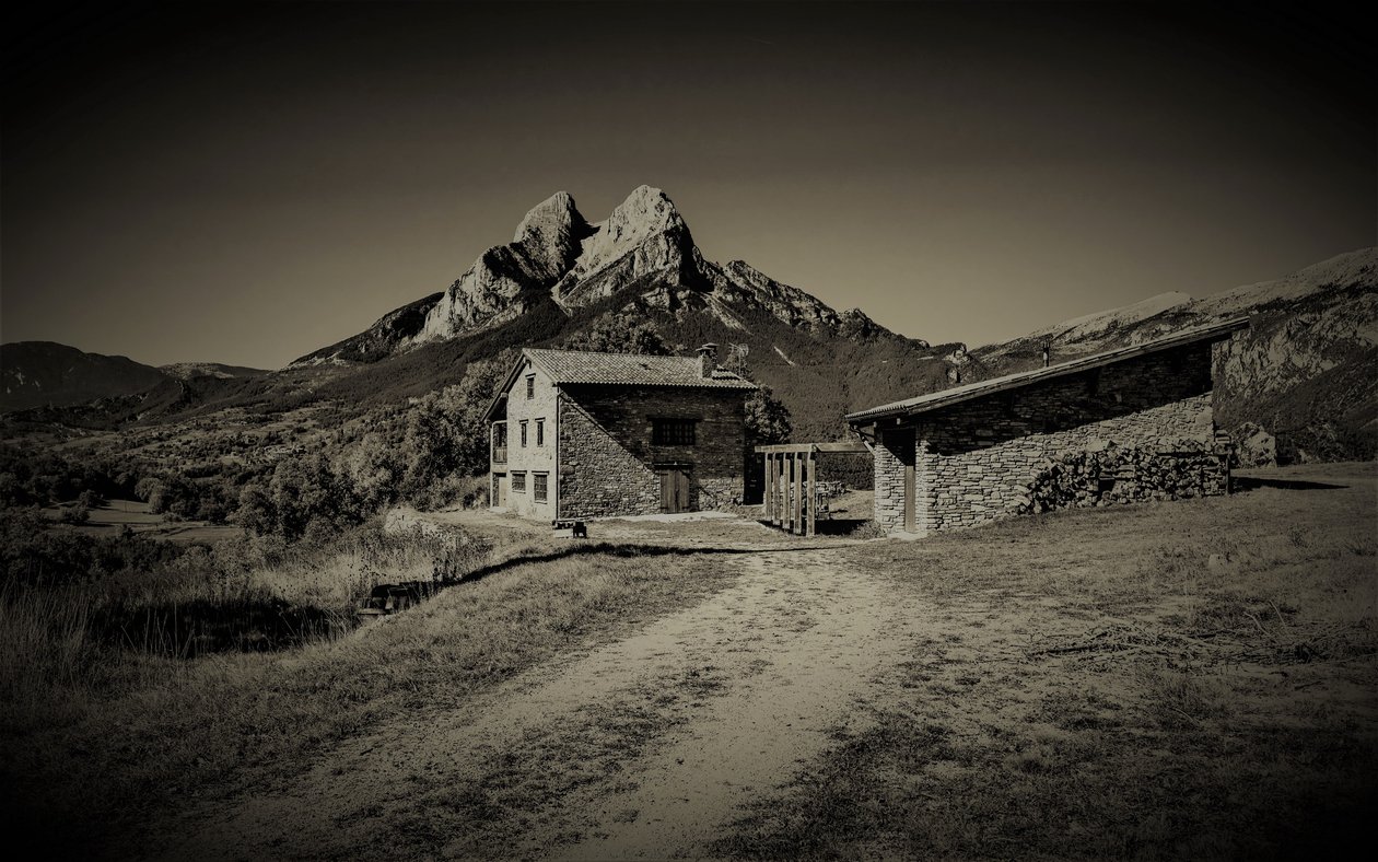 dağın yolu,2019,(fotoğraf) by Alex Caminker