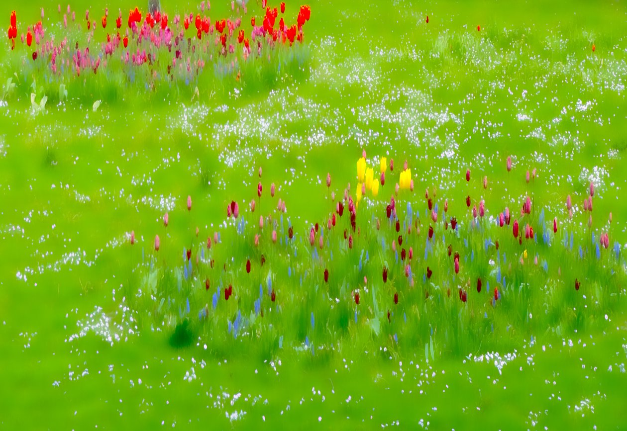 müzik parçası,2019,(fotoğraf) by Alex Caminker