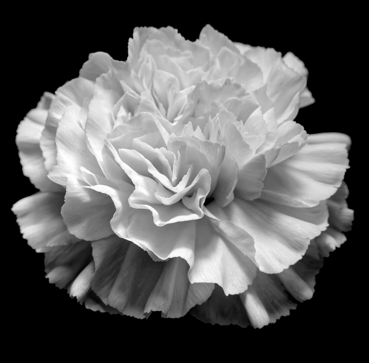 doğal geometri II,2019,(fotoğraf) by Alex Caminker