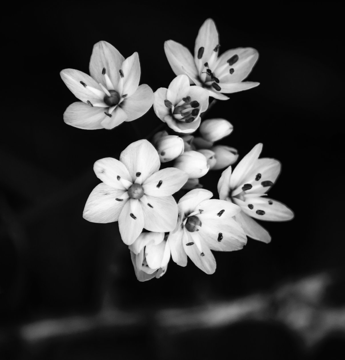 ilişki,2019,(fotoğraf) by Alex Caminker