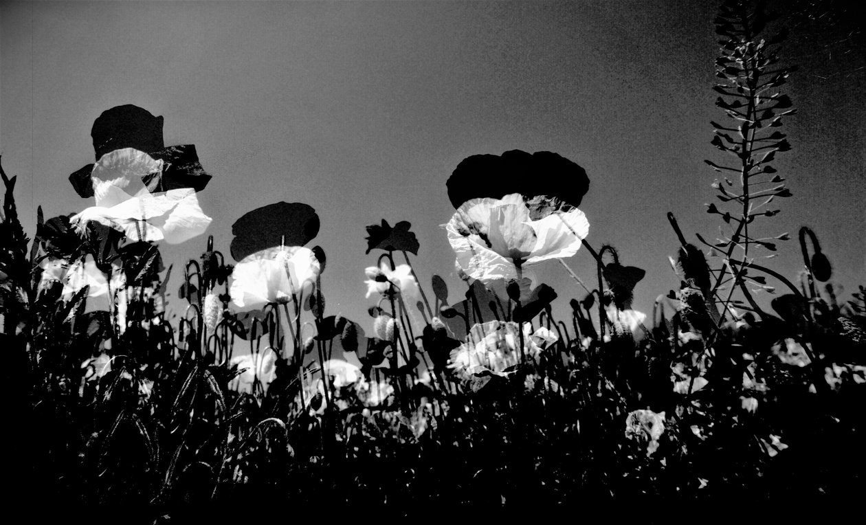 tiyatro,2019,(fotoğraf) by Alex Caminker