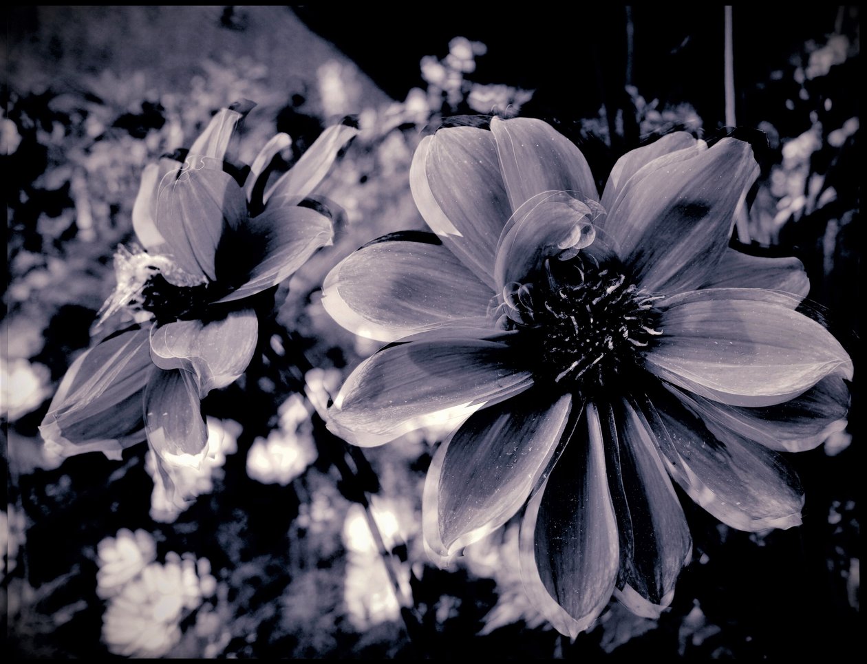 tiyatro dekorasyonu,2019,(fotoğraf) by Alex Caminker