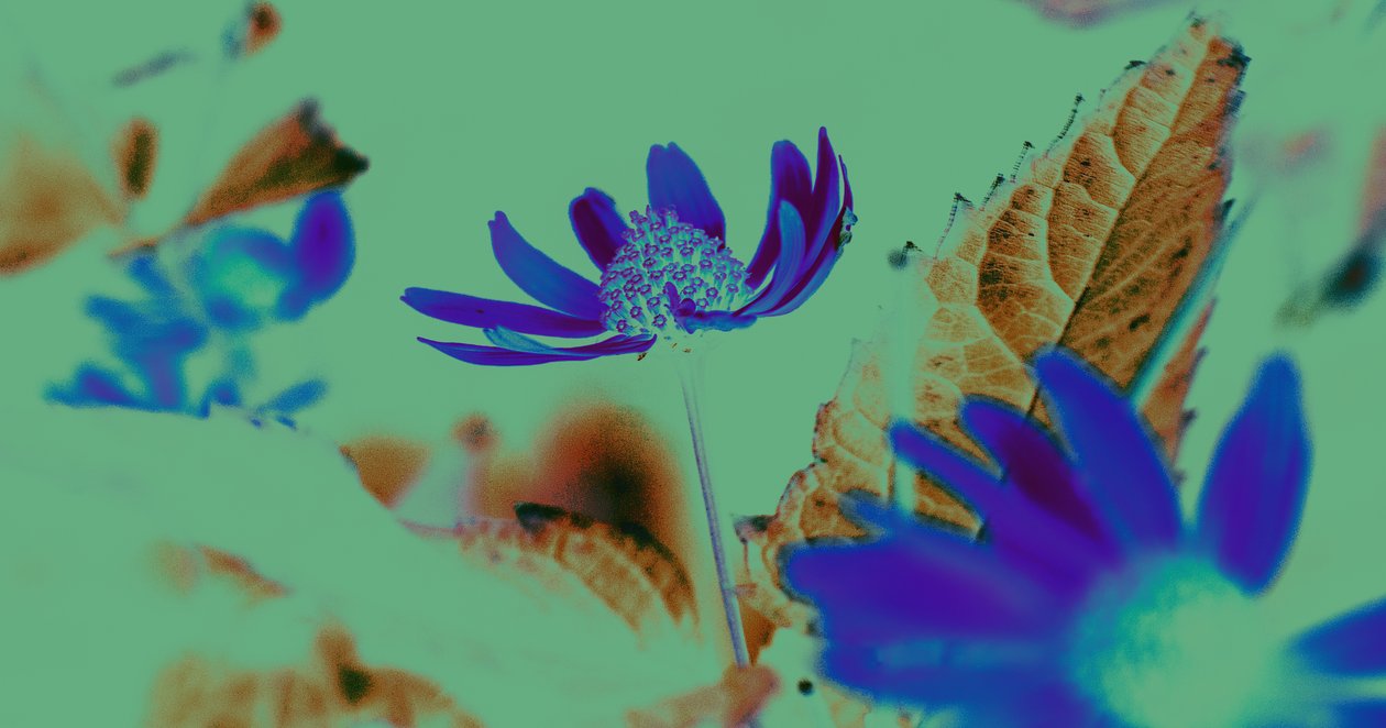 uv vsion,2019,(kolaj) by Alex Caminker