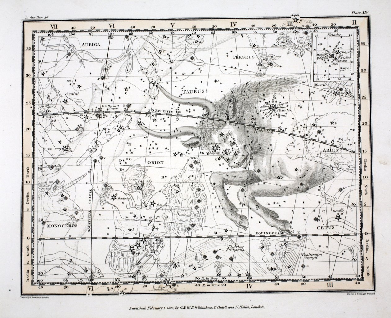 Takımyıldızlar (Levha XIV) Boğa, Alexander Jamieson tarafından yazılan 'Göksel Atlas'tan, pub. Londra 1822 (el renkli gravür) by Alexander Jamieson