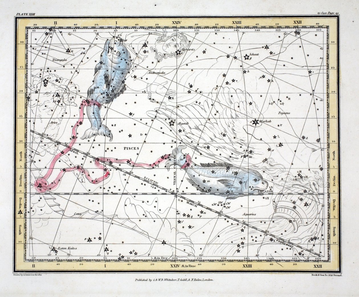 Takımyıldızlar (Levha XXII) Balık, Alexander Jamieson tarafından yazılan 