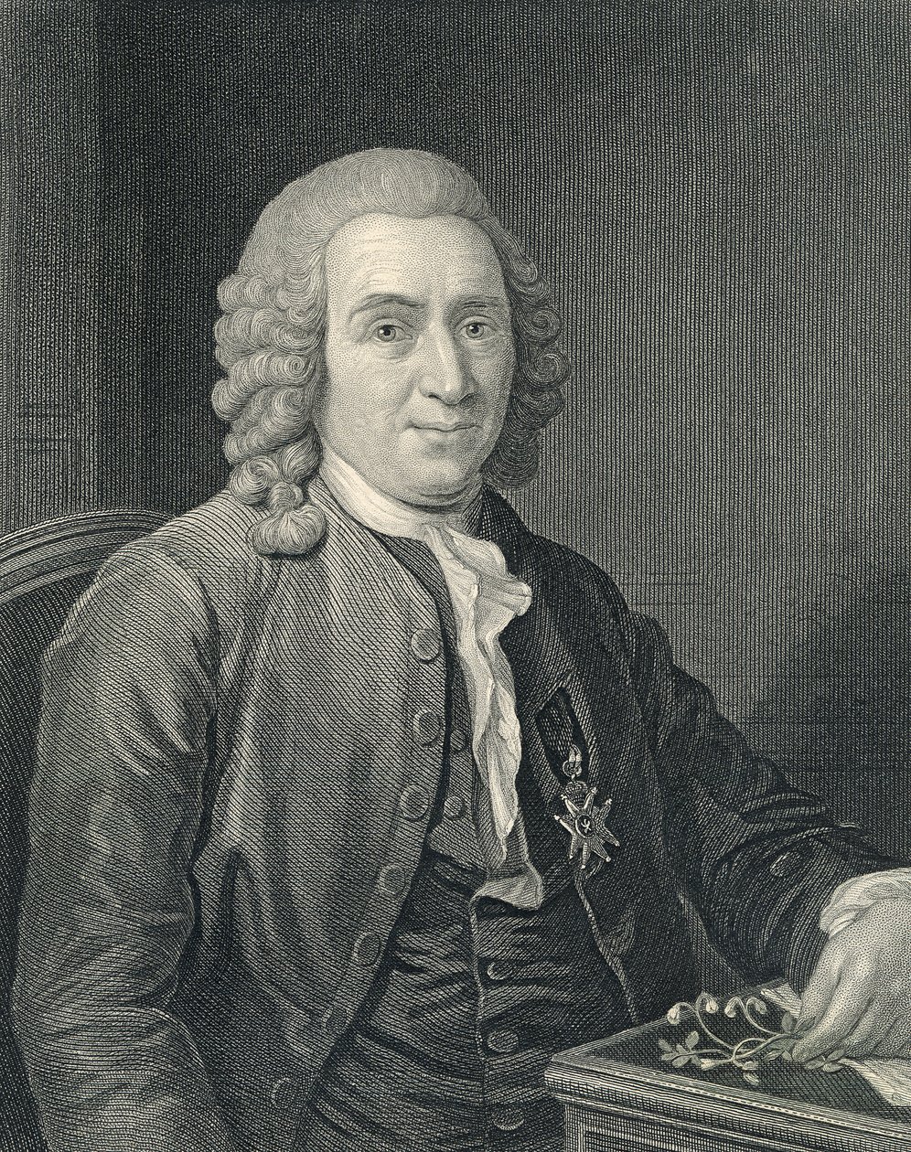 Charles Linnaeus'un Portresi by Alexander (after) Roslin