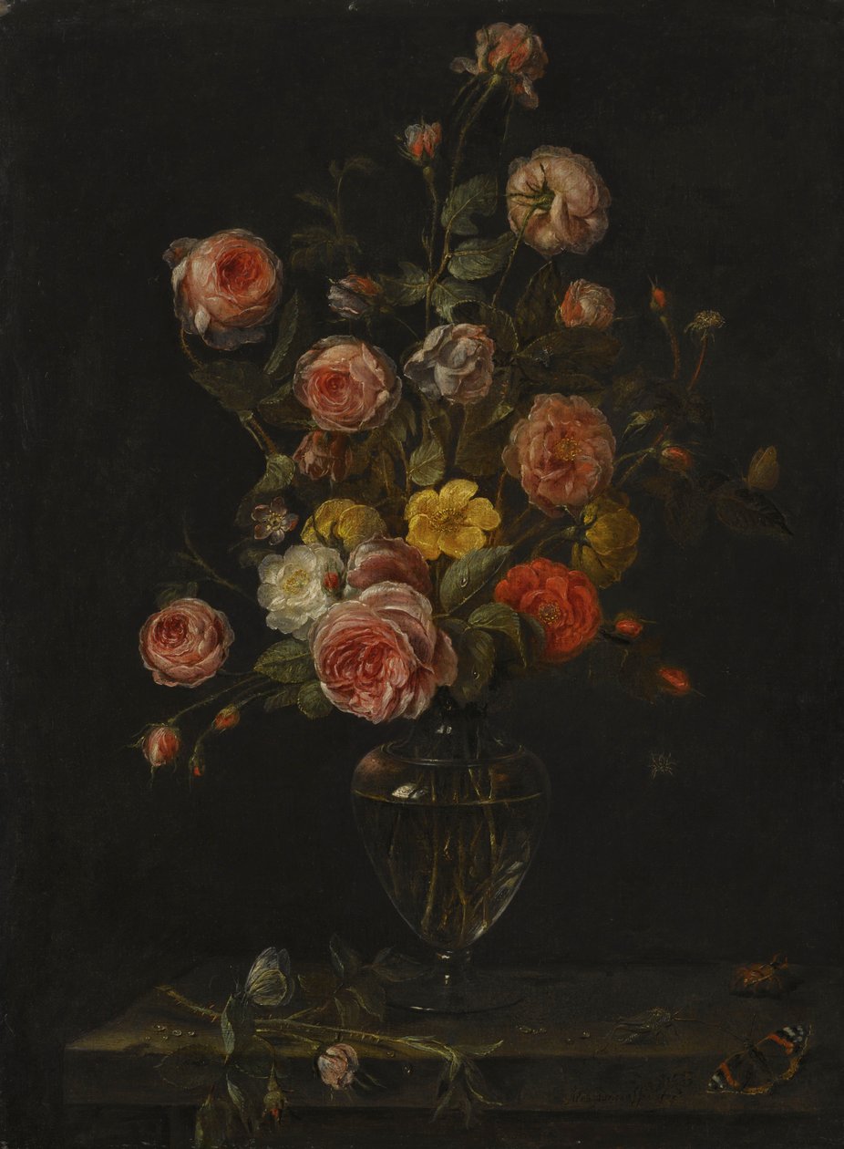  by Alexander Adriaenssen