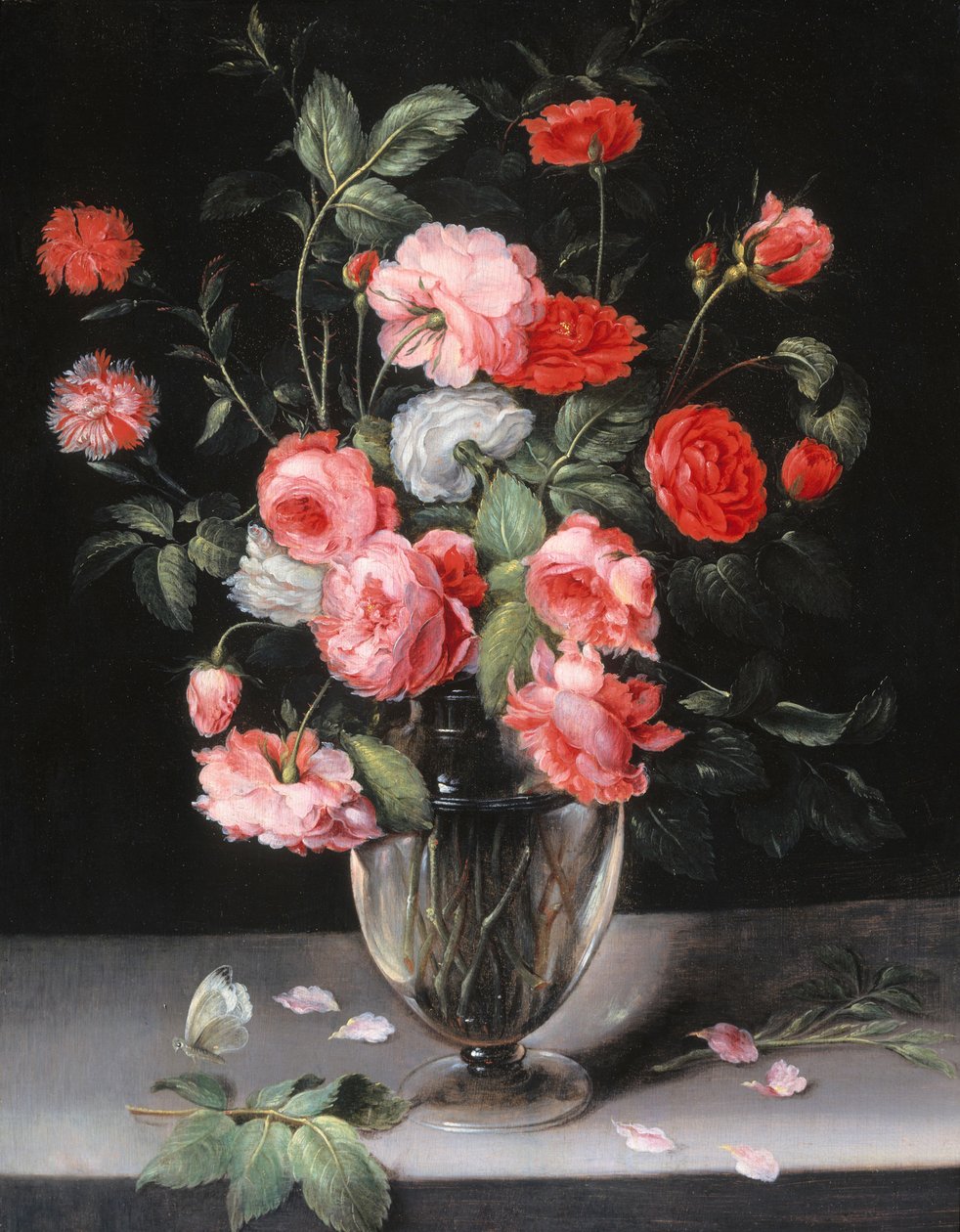  by Alexander Adriaenssen