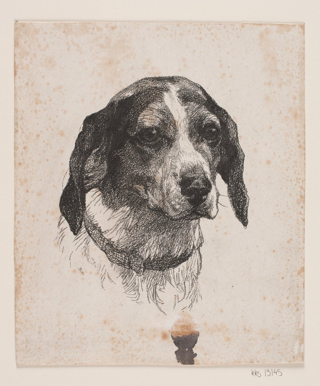 Bir köpeğin kafası by Alexander Blom