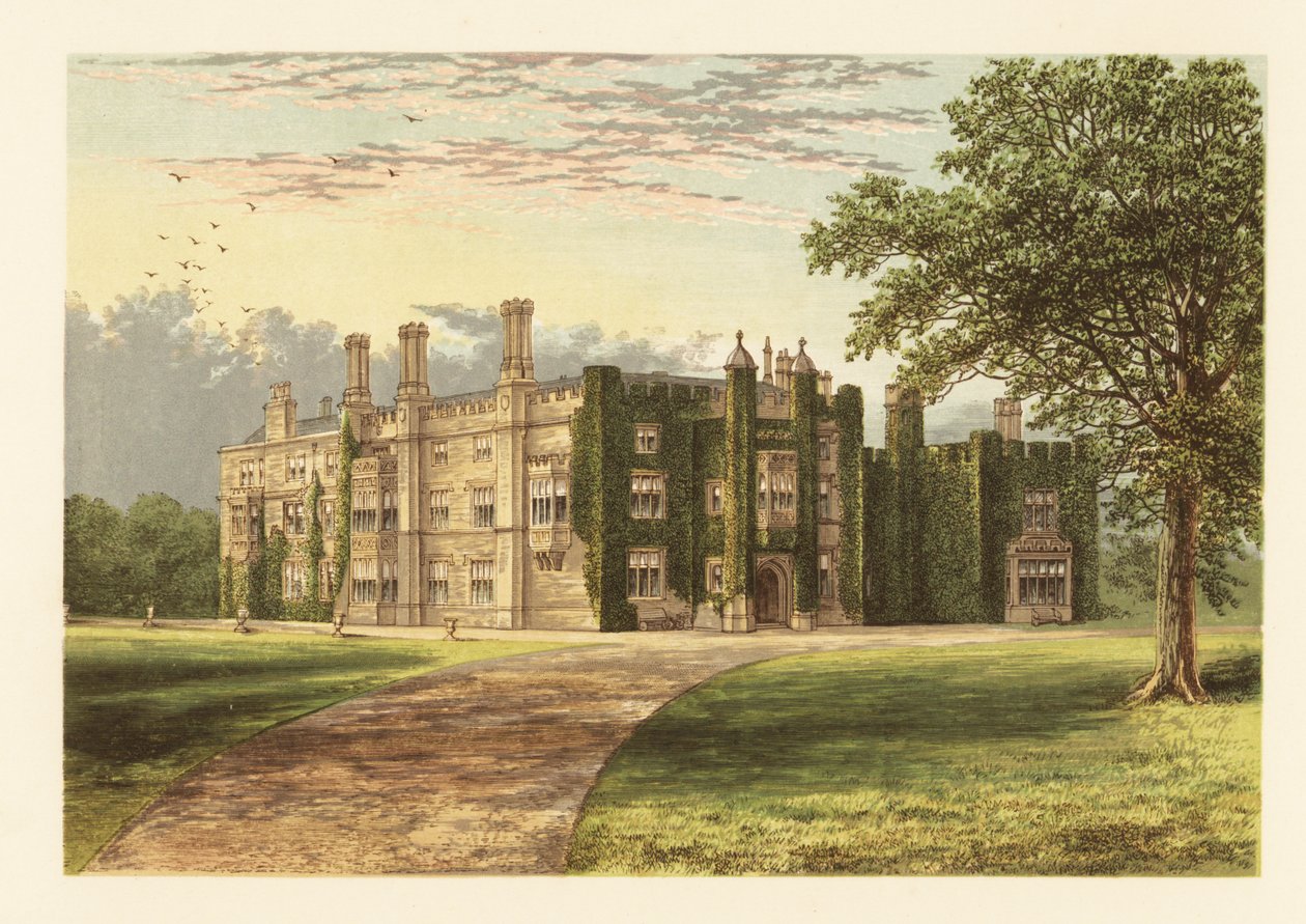Drakelowe Salonu, Derbyshire, İngiltere. by Alexander Francis (after) Lydon