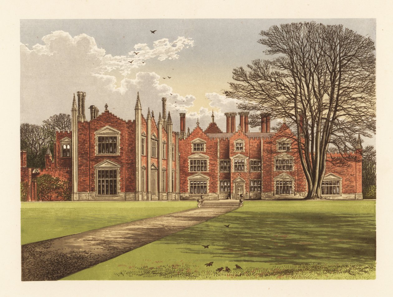 Witchingham Salonu, Norfolk, İngiltere. by Alexander Francis (after) Lydon