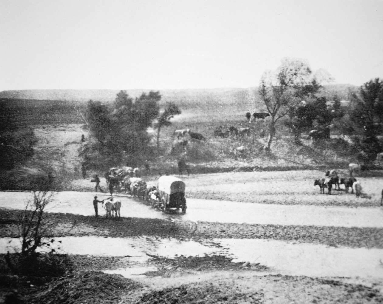 Tecolate Creek, New Mexico