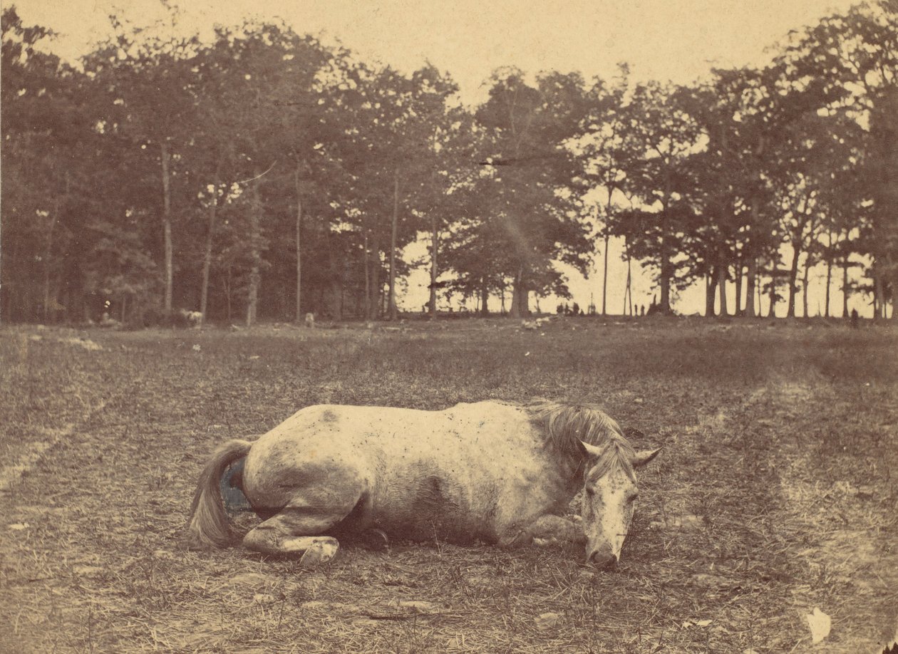 Bu Ölüm mü - Antietam Savaş Alanı, Eylül 1862, 1862. by Alexander Gardner