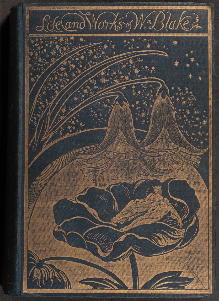 Şiirlerinden ve Diğer Yazılarından Seçmelerle William Blake