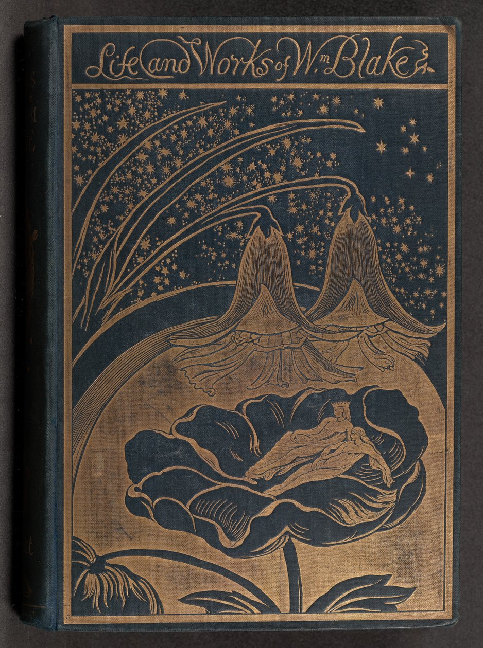 Şiirlerinden ve Diğer Yazılarından Seçmelerle William Blake