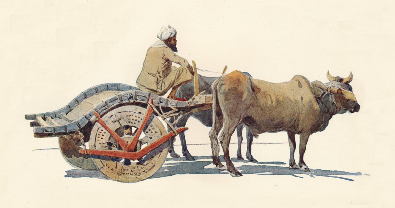 Bir Bullock Arabası, Jodhpur, c1880 1905. by Alexander Henry Hallam Murray