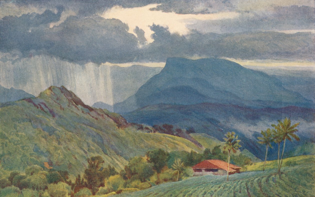 Tropikal Bir Duş, c1880 1905. by Alexander Henry Hallam Murray