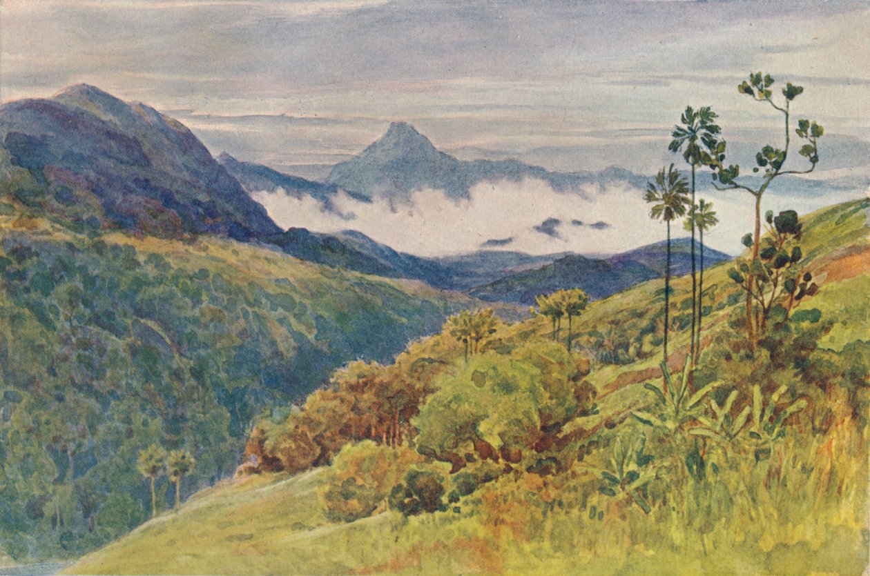 Mahaweli Ganga Vadisinde Sabah Sisleri, 1880 1905 dolayları. by Alexander Henry Hallam Murray