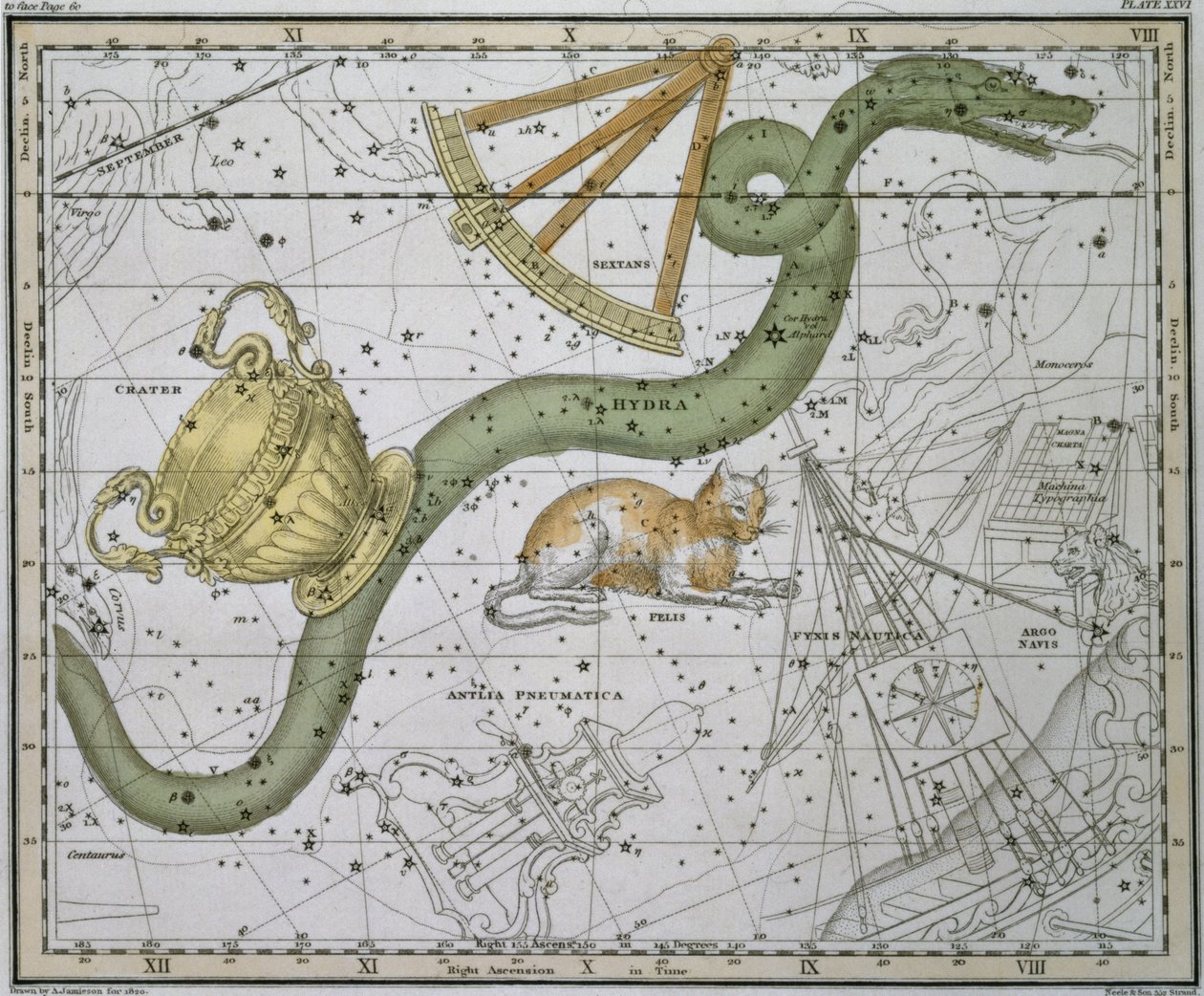 Hydra, 