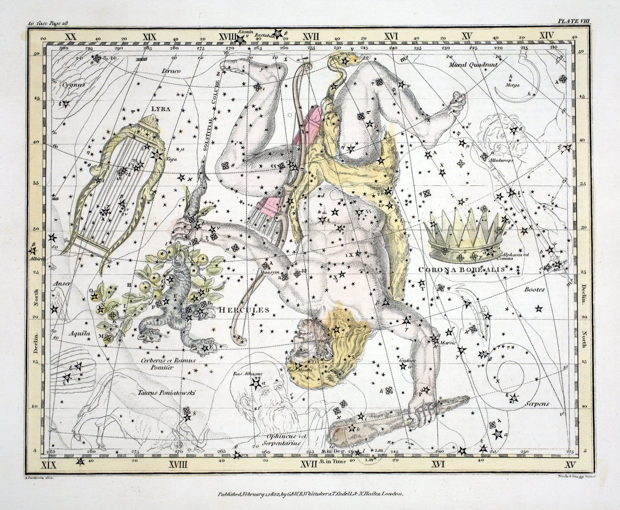 Takımyıldızlar (Levha VIII) Coronoa Borealis, Herkül ve Cerberus, Lyra, Alexander Jamieson tarafından yazılan 'Göksel Atlas'tan, pub. Londra 1822 (el renkli gravür) by Alexander Jamieson