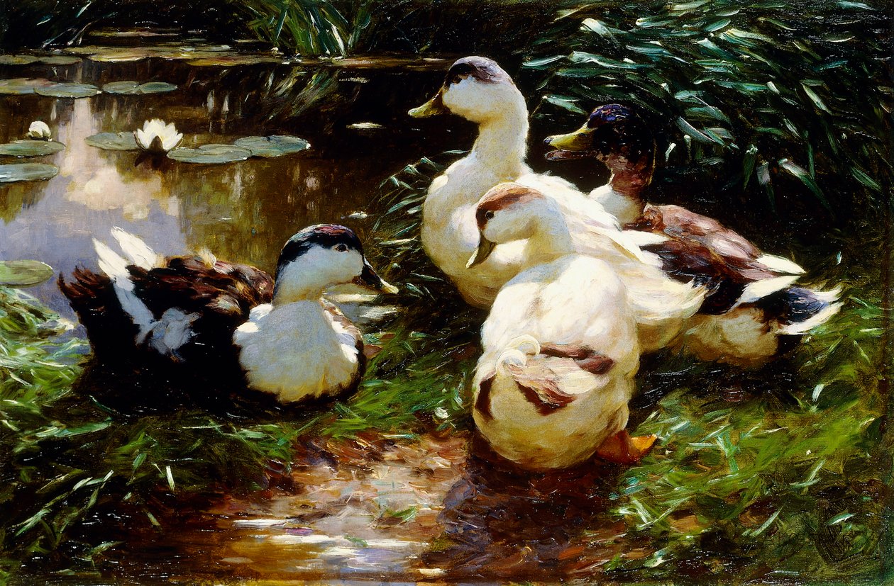 Nehir kıyısındaki ördekler by Alexander Koester