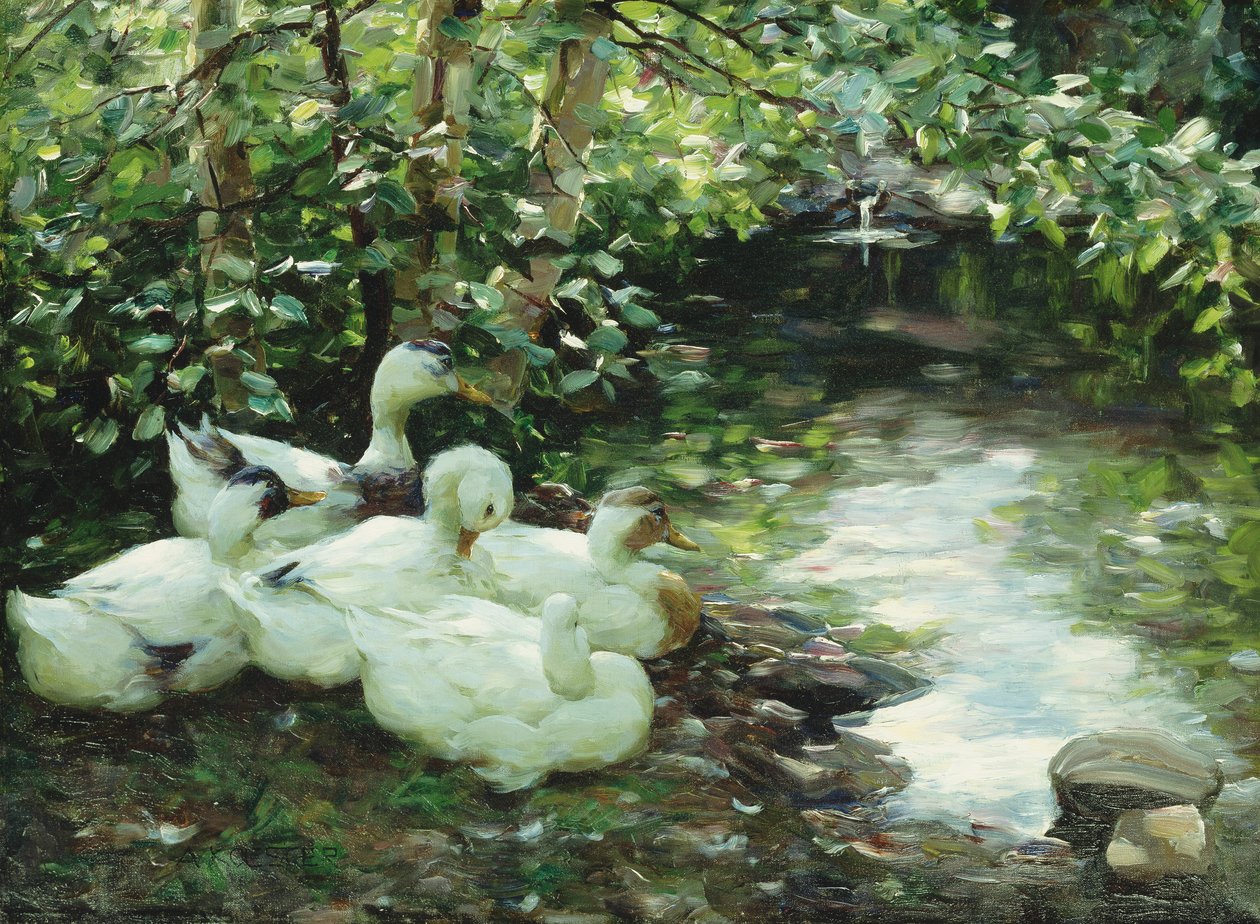 Nehirde beş ördek, Taşlı sahil; Funf Enten am Bach, Steiniges Ufer by Alexander Koester