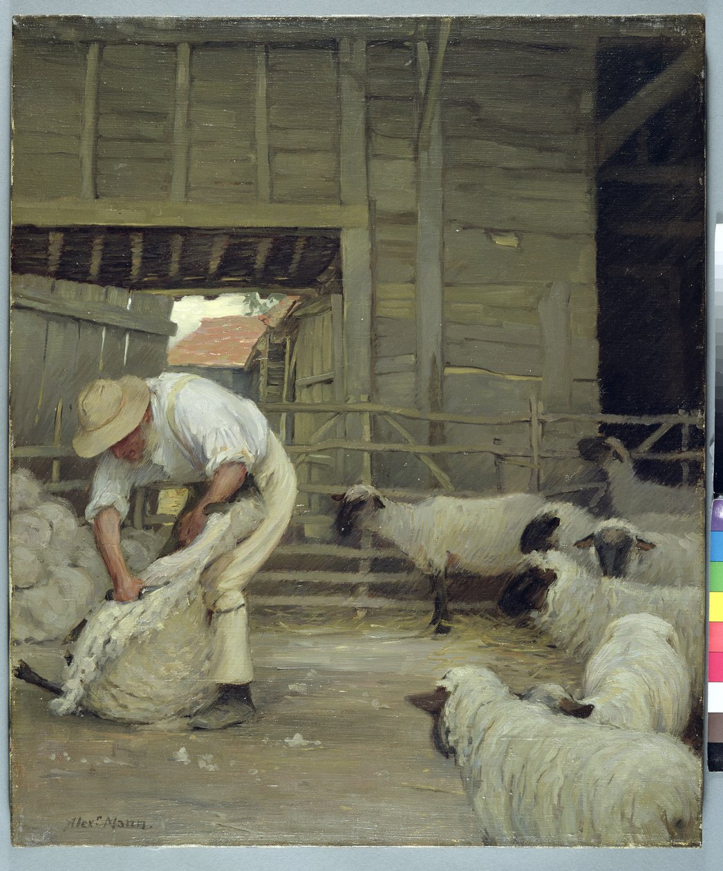 Koyun Kırkımı by Alexander Mann