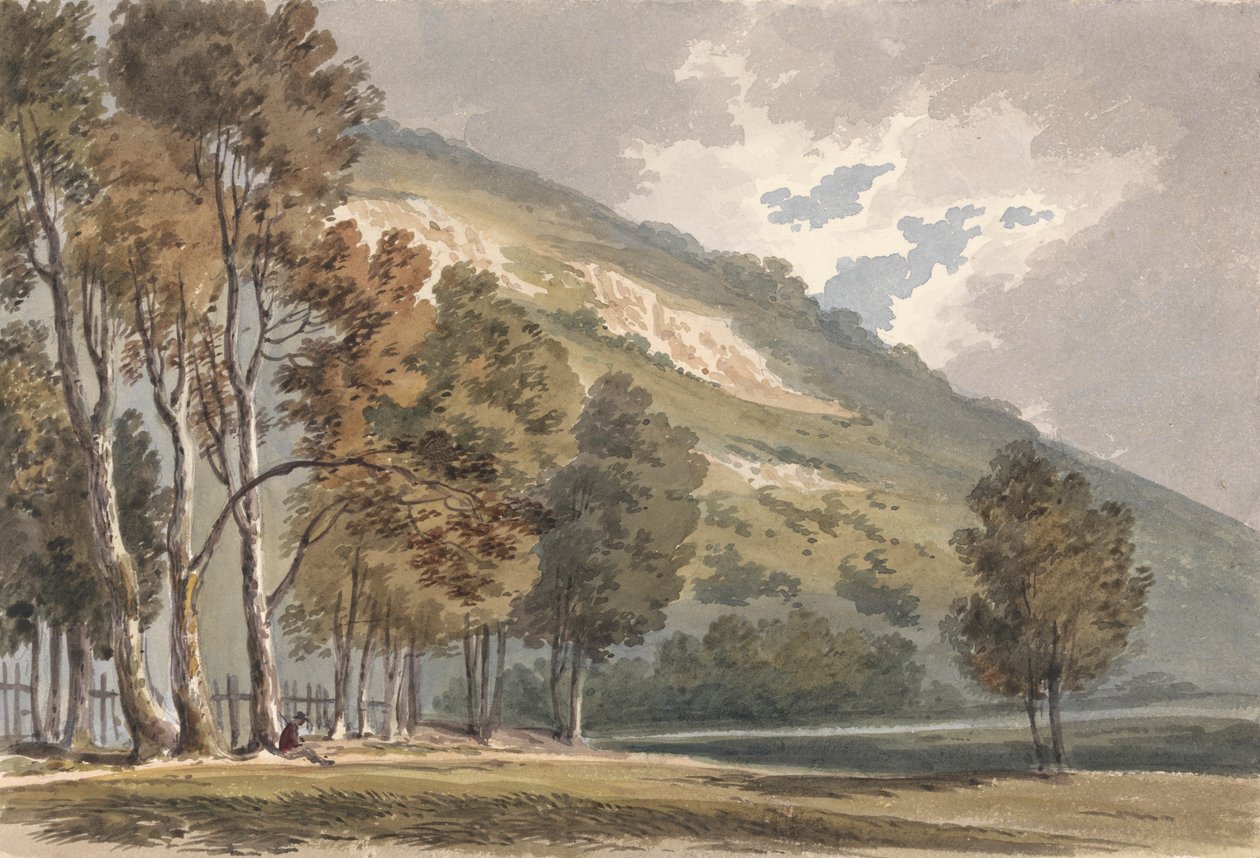 Boxhill, Surrey'de Manzara by Alexander Monro