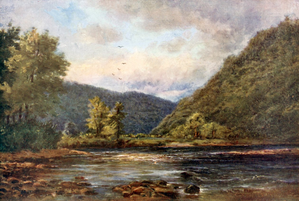 by Alexander Williams