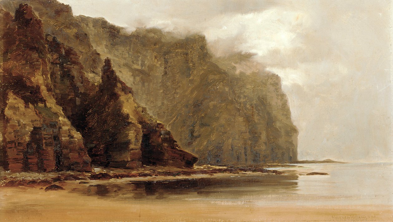 Minaun Kayalıkları, Achill Adası, Connacht Kontluğu, İrlanda (tuval üzerine yağlı boya) by Alexander Williams
