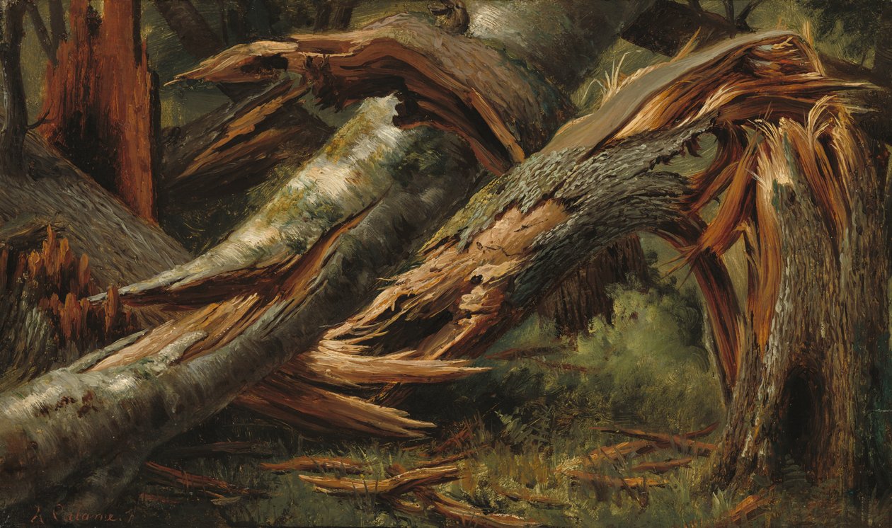 düşmüş ağaç by Alexandre Calame