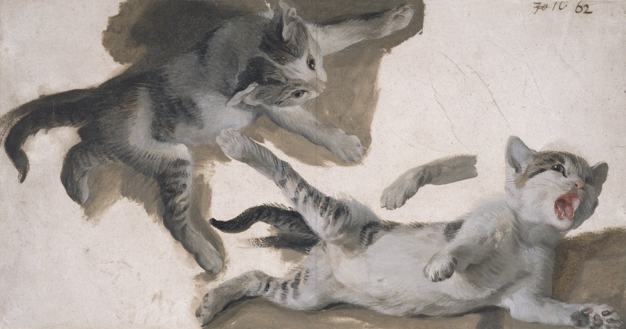 Yavru Kedi Eskizleri (kağıt üzerine yağlı boya) by Alexandre Francois Desportes