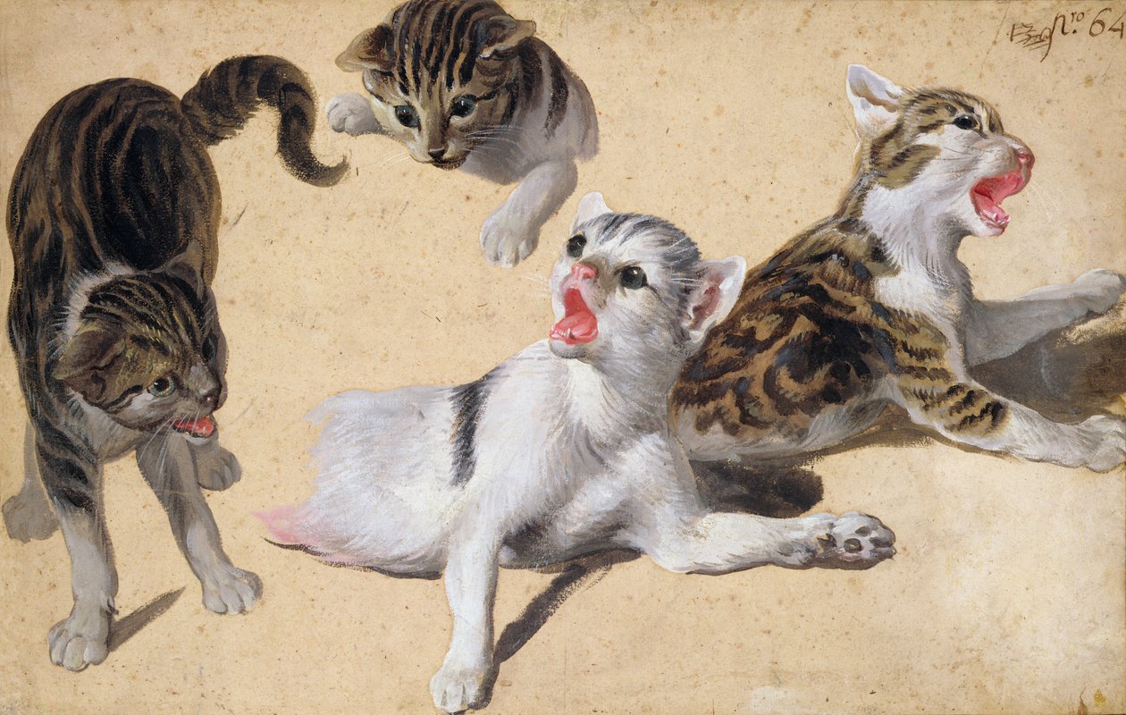 Dört Yavru Kedi Çalışması (açık kahverengi kağıt üzerine yağlı boya) by Alexandre Francois Desportes