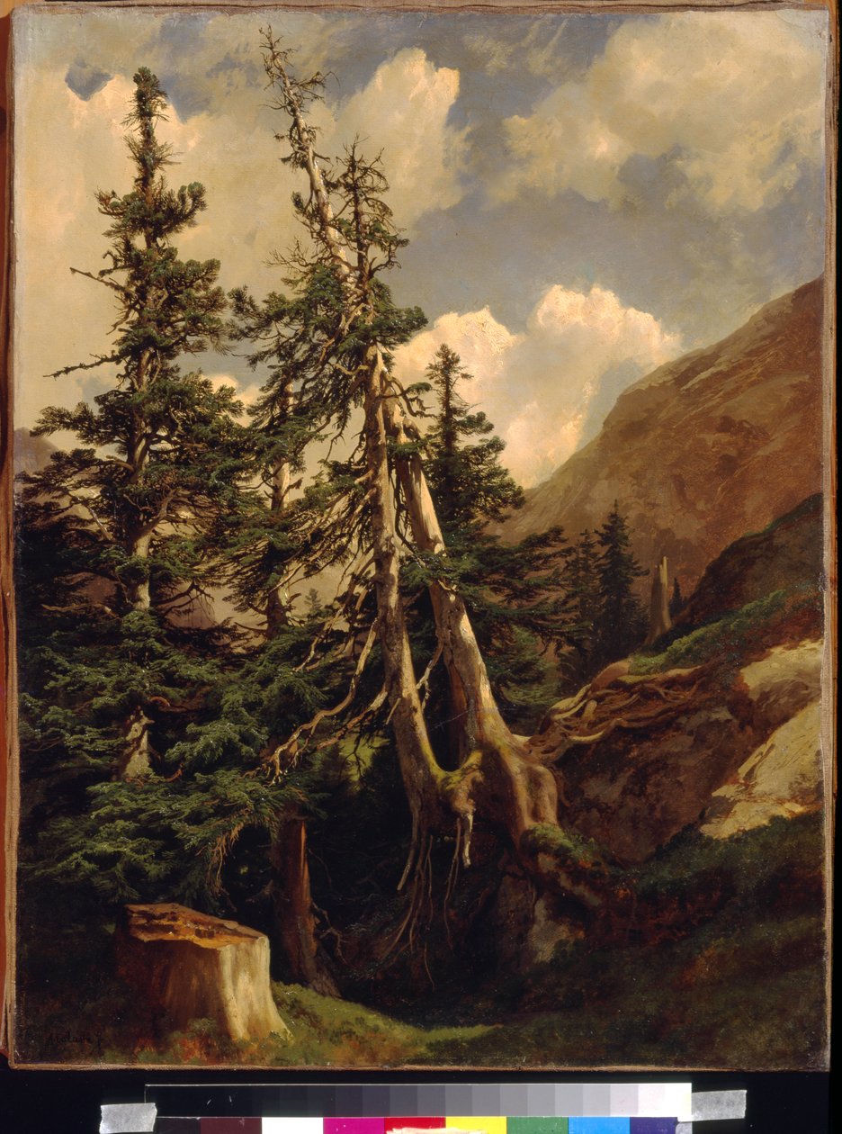 Dağlarda köknarlar, Calame, Alexandre (1810-1864). Tuval üzerine yağlı boya, Ebat : 68,5x53. Devlet A. Puşkin Güzel Sanatlar Müzesi, Moskova by Alexandre Calame