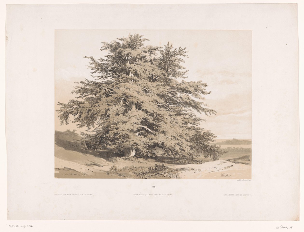 Sedir ağaçları ile manzara Cedres (nesne üzerindeki başlık) by Alexandre Calame
