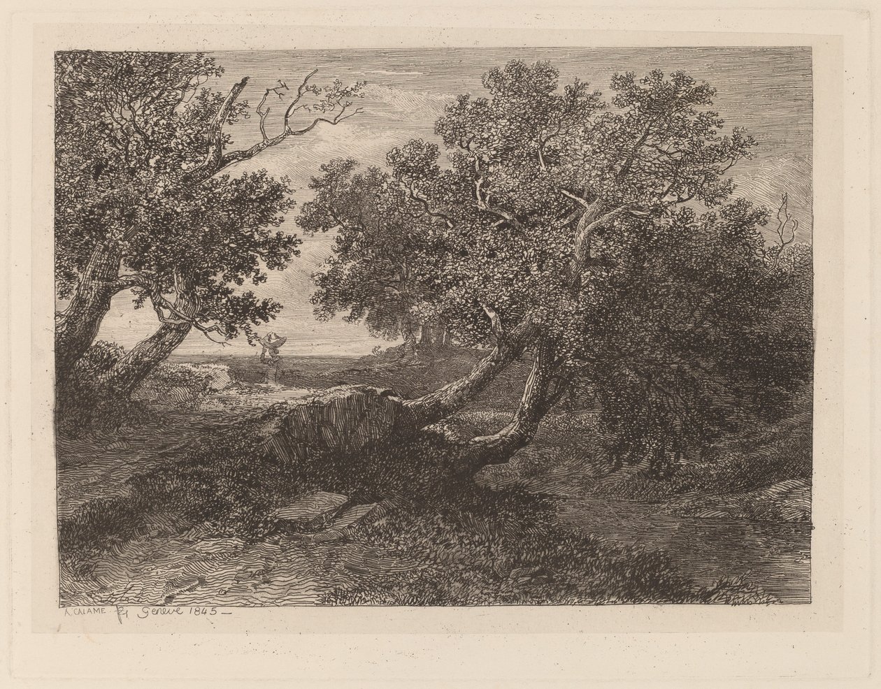 Sarkan Ağaçlarla Akış by Alexandre Calame