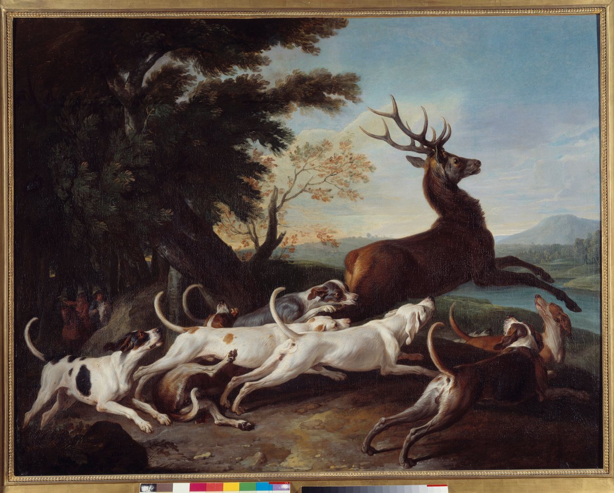 Avcılık: “” Debuche du deer”” Francois Desportes (1661-1743) tarafından tablo 1718 Güneş. 1.1x1.45 m Rouen, Güzel Sanatlar Müzesi by Alexandre Francois Desportes