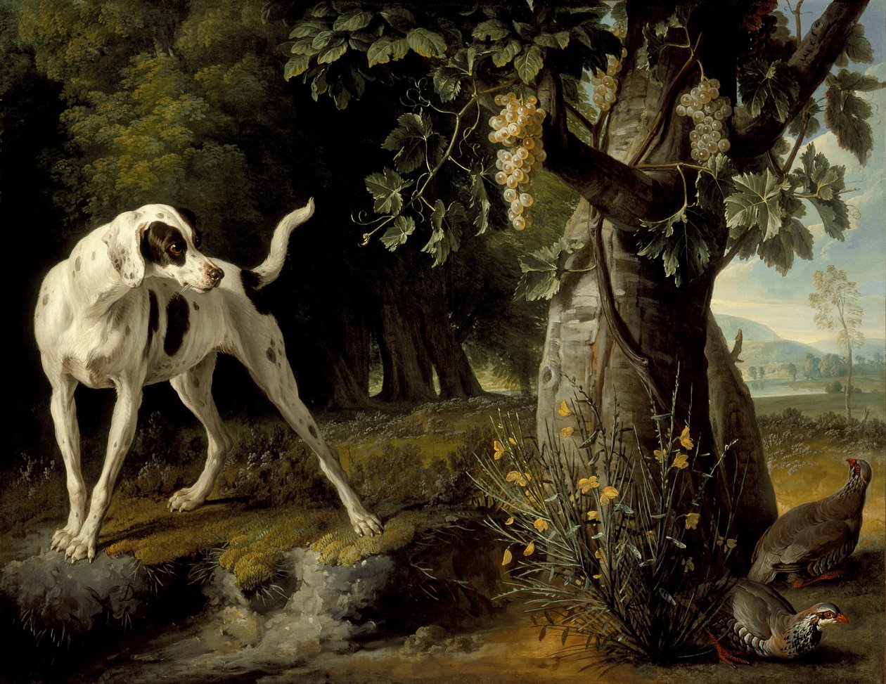 Köpek ve Keklik Manzarası, 1719 by Alexandre Francois Desportes