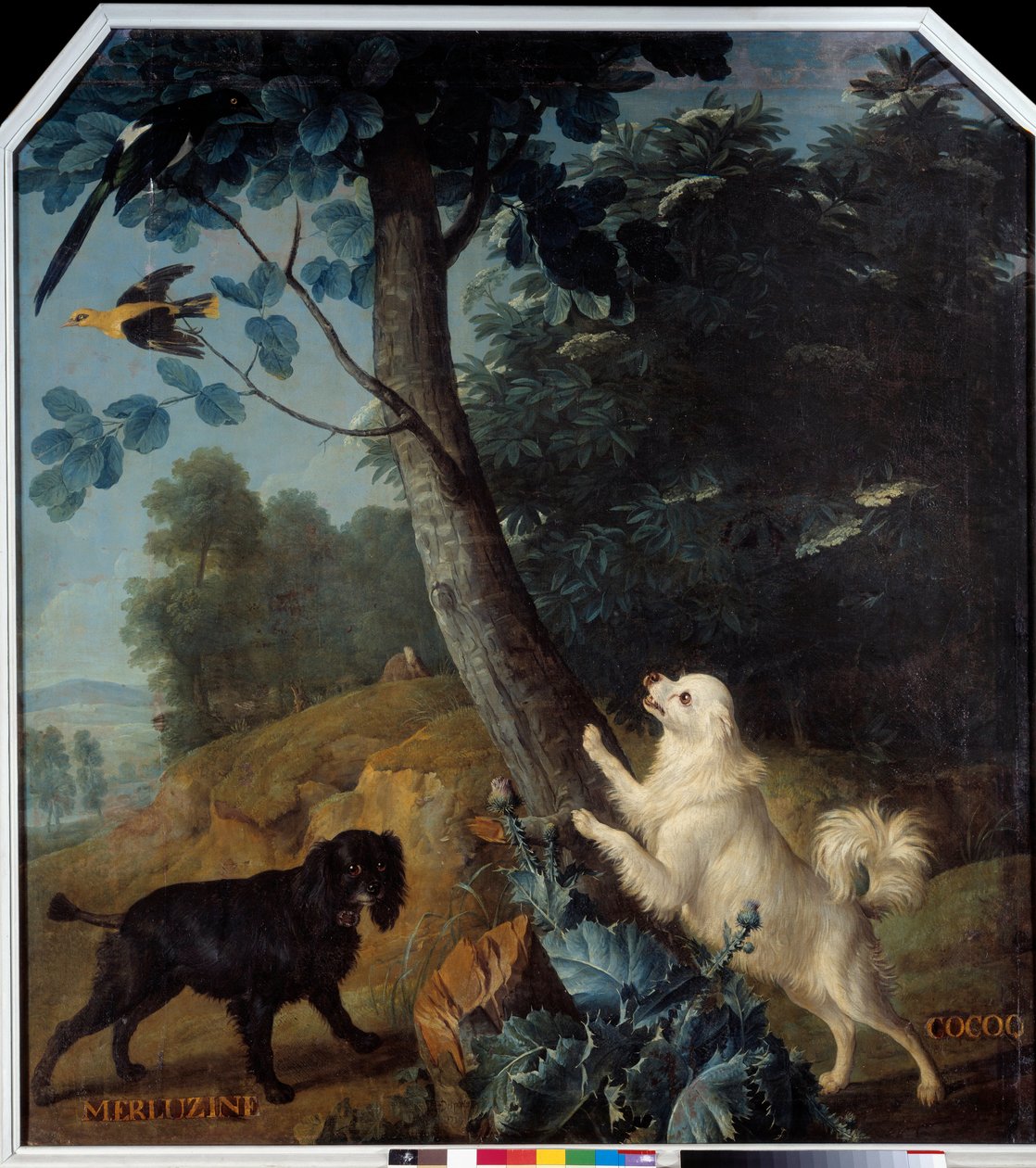 Merluzine ve Cocoq, XIV. Louis