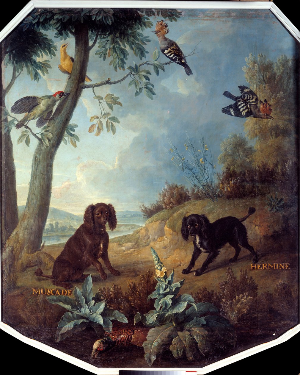 Nutmeg ve Hermine, Louis XIV