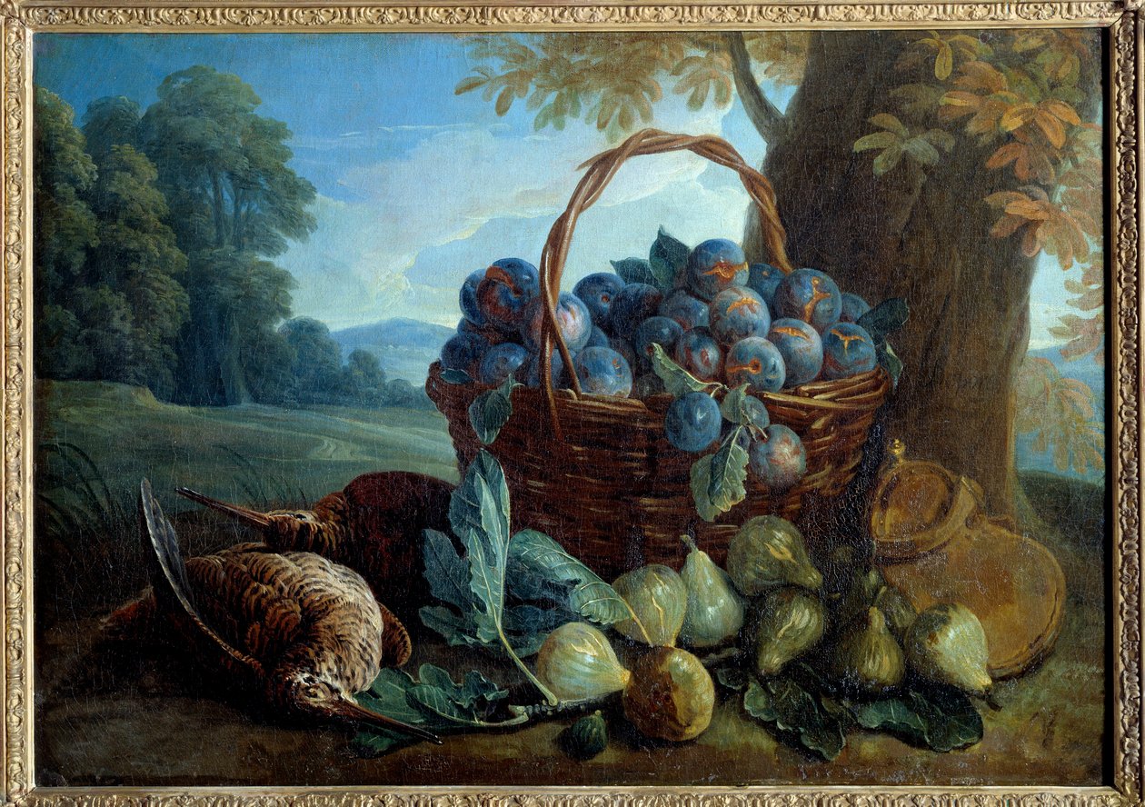 Erikler, incirler ve gagalar Boyama Francois Desportes tarafından by Alexandre Francois Desportes