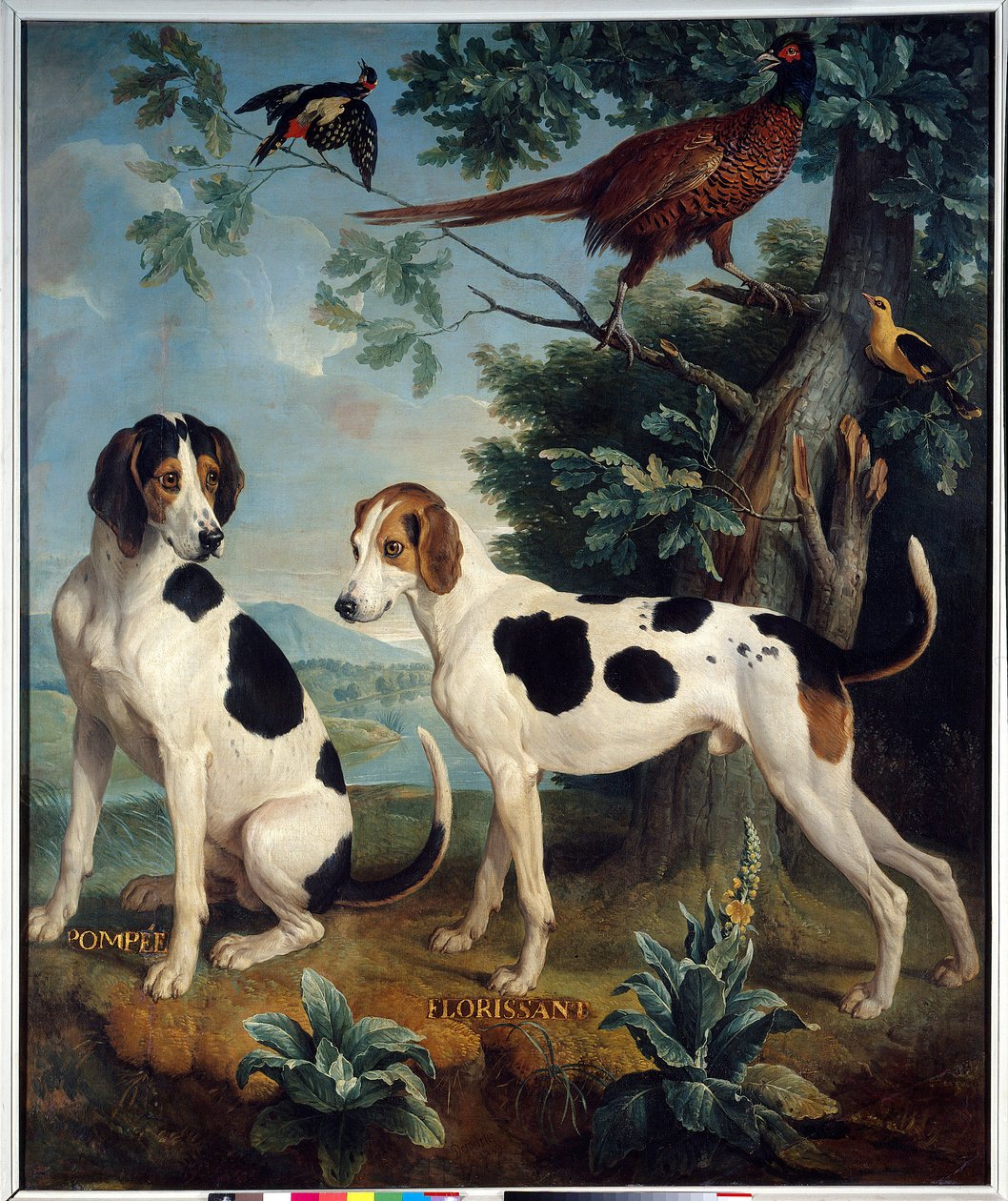 Pompee ve Florissant, Louis XIV