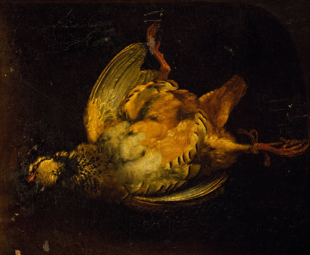 Keklik ile natürmort, resim Alexandre-Francois Desportes (1661-1743), Fransa by Alexandre Francois Desportes