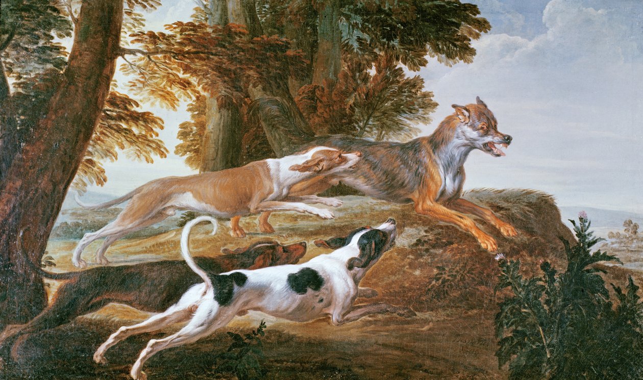 Kurt Avı, c.1720 by Alexandre Francois Desportes
