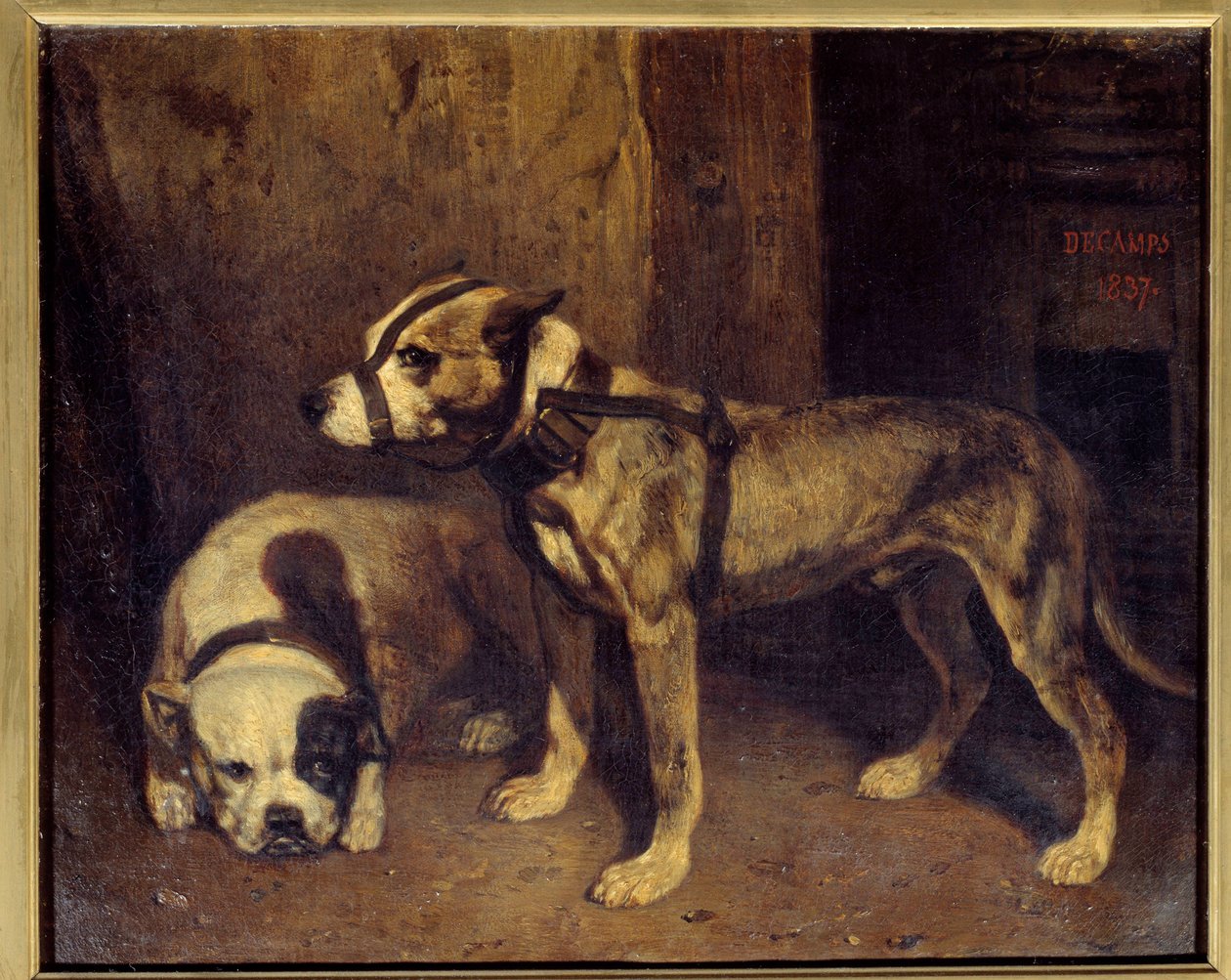 Alexandre Gabriel Decamps (1803-1860) tarafından İskoç Bulldog ve Terrier Tablosu 19. yüzyıl Güneşi. 1,04x1,34 m by Alexandre Gabriel Decamps